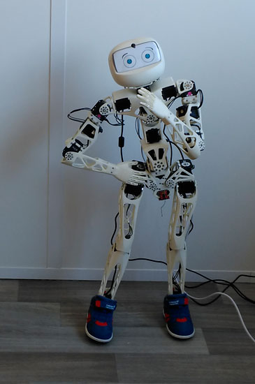 The Poppy robot, a real physiotherapy assistant