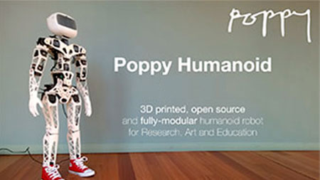 Buy the Poppy Humanoid robot on the Génération Robots website
