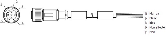 Polanordnung am M12-Stecker für Sicherheits-Laserscanner von SICK
