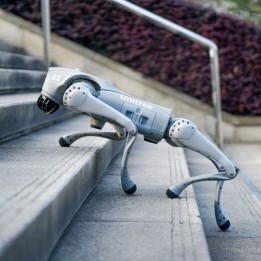 Robot per cani Go2 (Edu Plus)