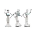 Pepper For Business Edition humanoid robot 2 years warranty