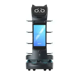 PUDU BellaBot server robot