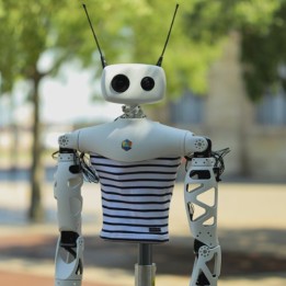 Humanoider Open-Source-Roboter Reachy