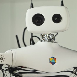 Humanoider Open-Source-Roboter Reachy