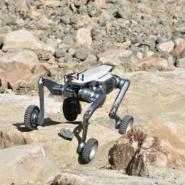 Vierbeiniger Roboter PUMA Pro