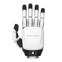 RH56E2 Robotic Hand