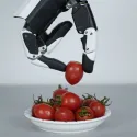 RH56E2 Robotic Hand