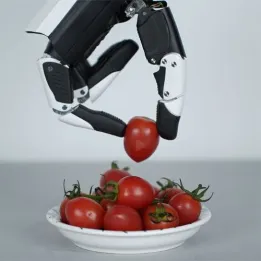 RH56E2 Robotic Hand