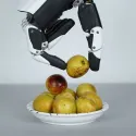 RH56E2 Robotic Hand