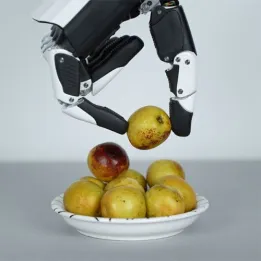 RH56E2 Robotic Hand