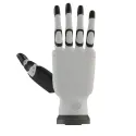 Main robotique RH56DFX
