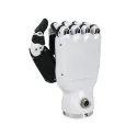 Main robotique RH56DFX