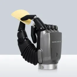 RH56F1 Robotic Hand