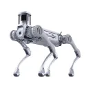 Vierbeiniger Roboterhund B2