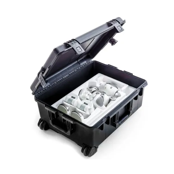 Transport case for humanoid NAO robot