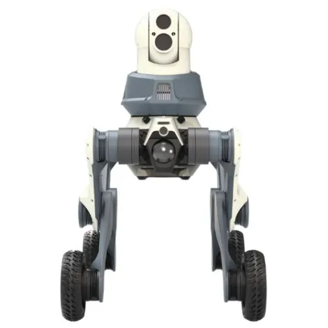 LYNX M20 Protector Security