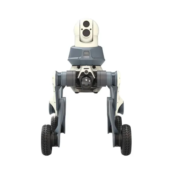 LYNX M20 Protector Security