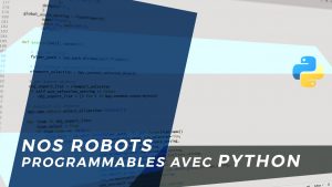 Our Python-programmable secondary school robots