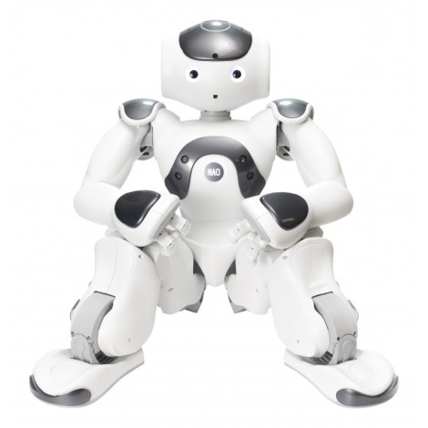 Programmable Humanoïd Robot NAO V6