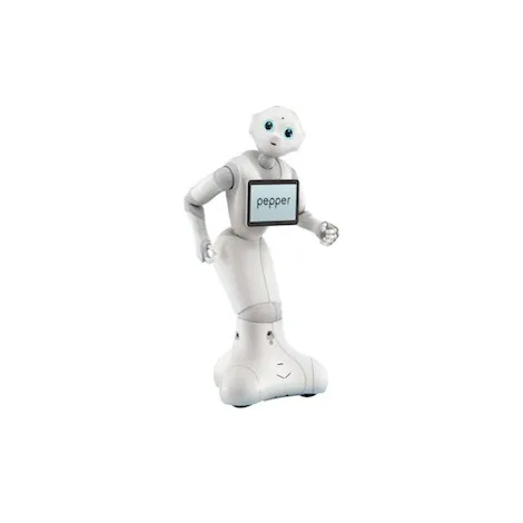 Reception And Presentation Robot