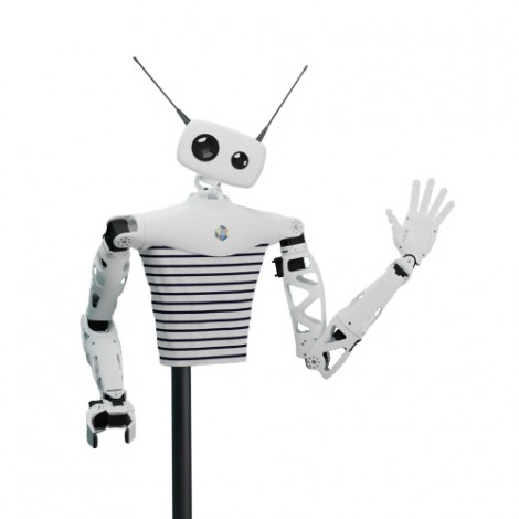 Reachy modular humanoid robot