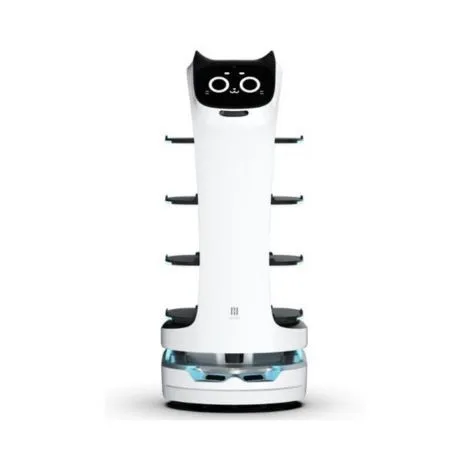 Robots de service