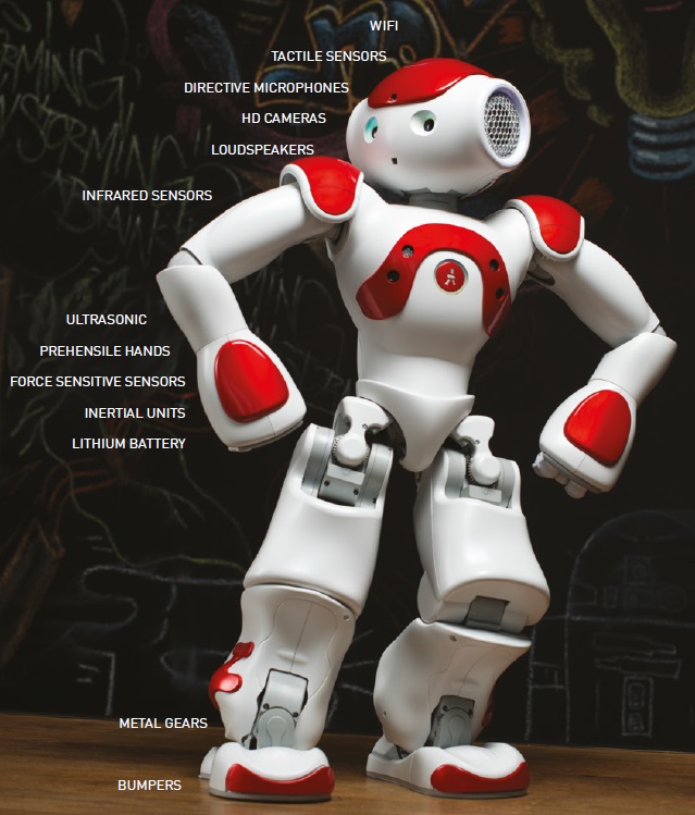 photo du robot humanoïde programmable NAO Evolution