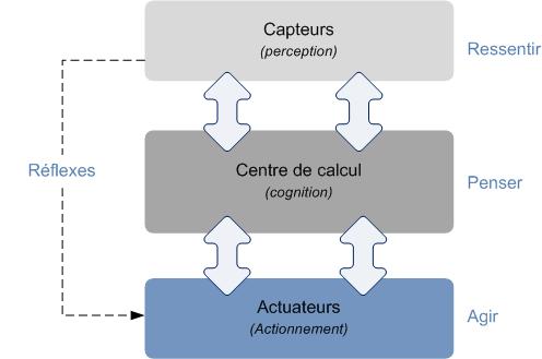 schéma d'organisation d'un robot