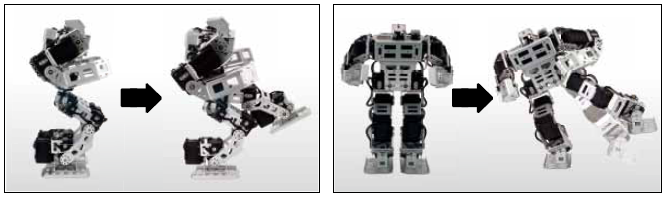 Les mouvement du mode football du robot humanoide programmable Bioloid GP