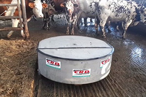 Progetto Aspi Concept con CRD: robotizzazione delle operazioni di pulizia nelle stalle