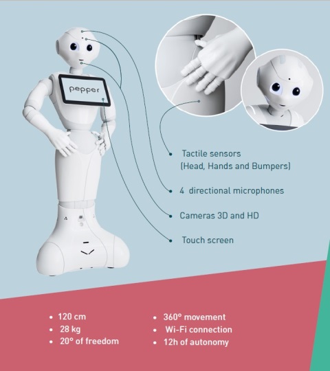 Pepper humanoid robot technical specifications