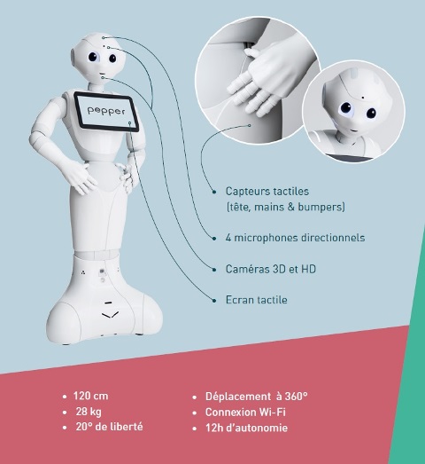 Spécifications techniques du robot humanoïde Pepper