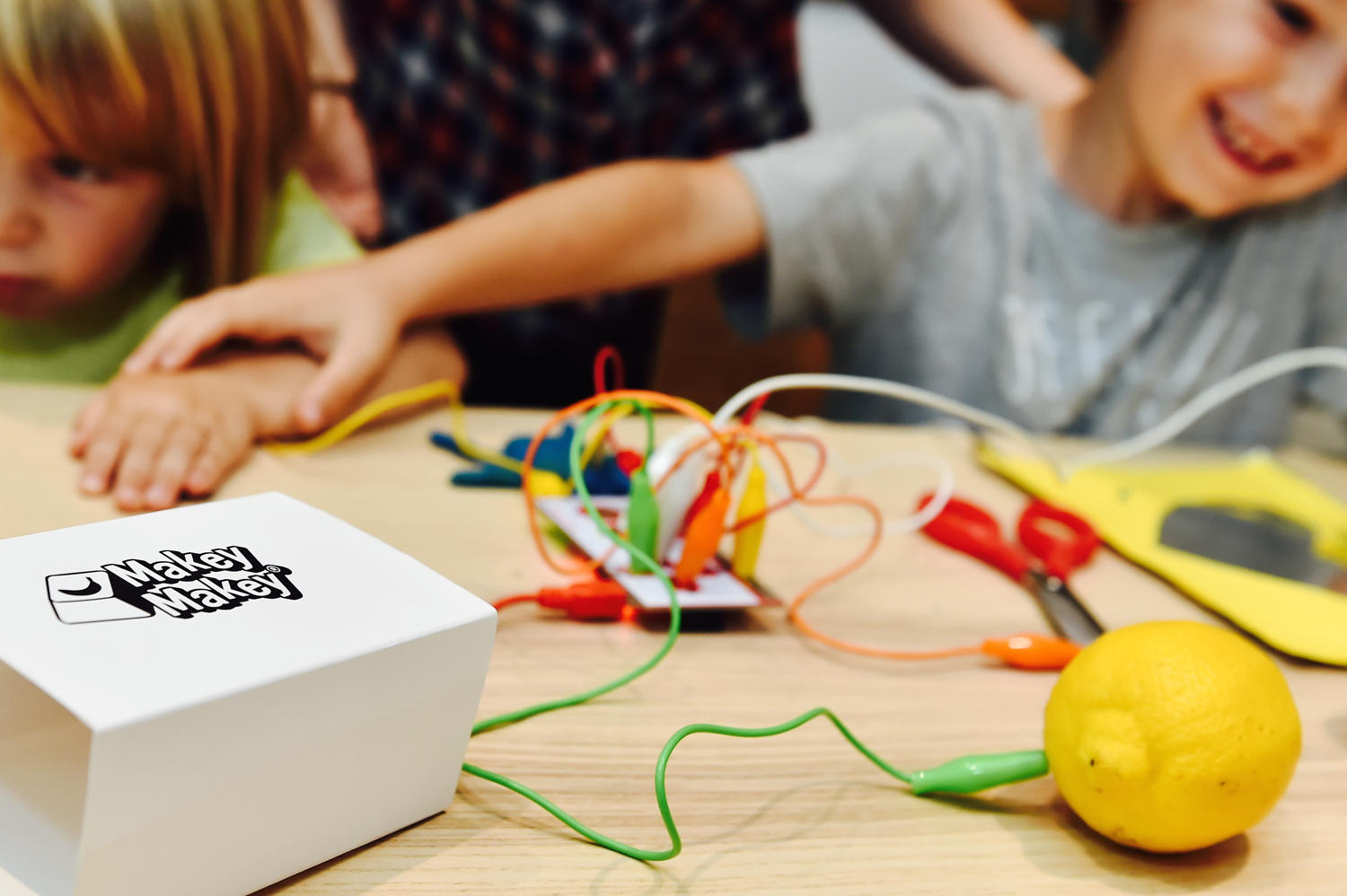 Makey Makey kit