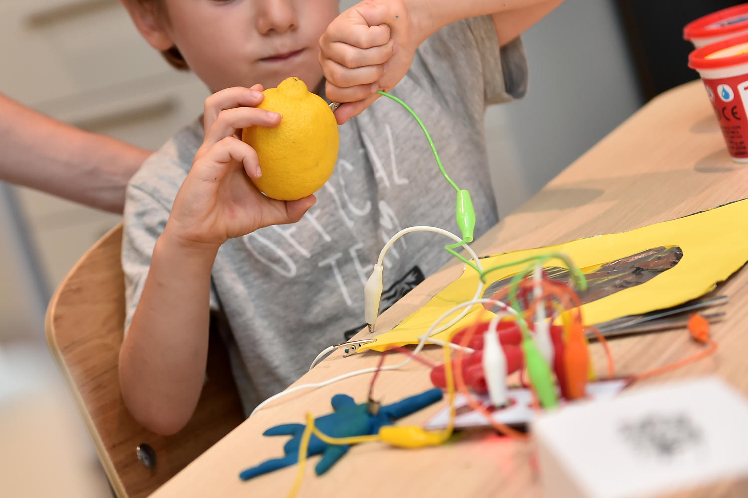 Makey Makey kit