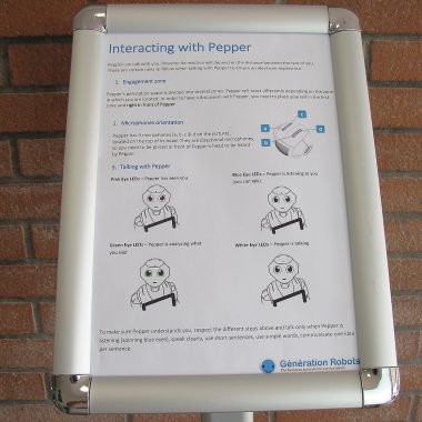 Display Pepper Roboter